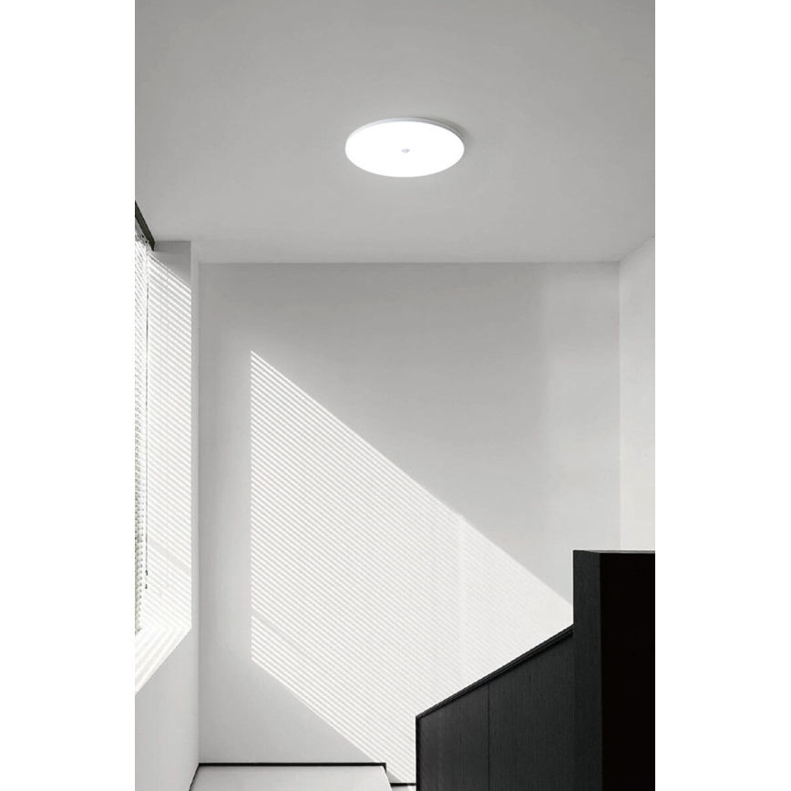 LED Stropní svítidlo se senzorem soumraku a pohybu MORETTI LED/24W/230V pr. 30 cm IP40 6500K