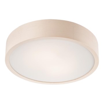 LED Stropní svítidlo 1xLED/24W/230V borovice