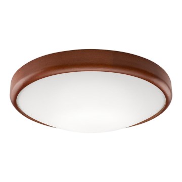 LED Stropní svítidlo 1xLED/24W/230V