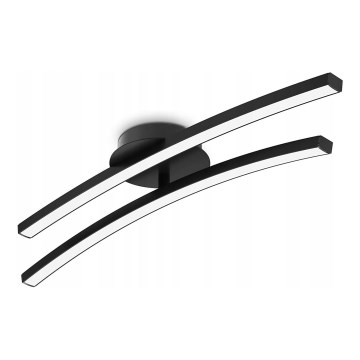 LED Stropní svítidlo 2xLED/6W/230V 3000K černá