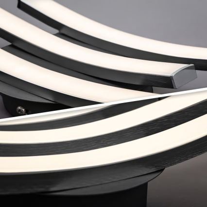 LED Stropní svítidlo 3xLED/6W/230V 2700K černá