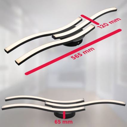 LED Stropní svítidlo 3xLED/6W/230V 2700K černá