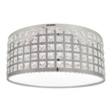 LED Stropní svítidlo ALEX LED/18W/230V