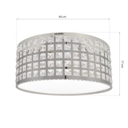 LED Stropní svítidlo ALEX LED/18W/230V