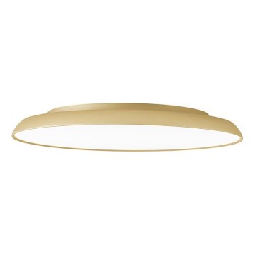 LED Stropní svítidlo ART LED/40W/230V zlatá