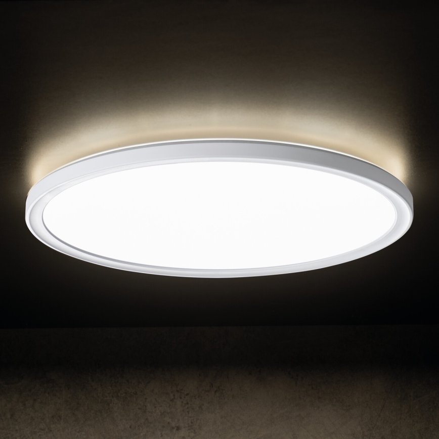 LED Stropní svítidlo AZPO LED/11,8W/230V 3000/4000/6000K pr. 22,5 cm IP54 bílá