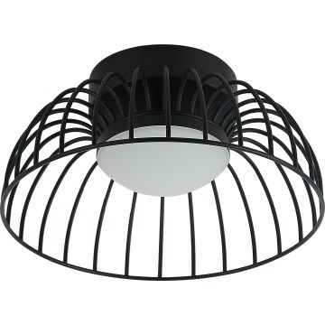 LED Stropní svítidlo BETSY LED/12W/230V pr. 25 cm černá