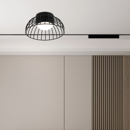 LED Stropní svítidlo BETSY LED/12W/230V pr. 25 cm černá