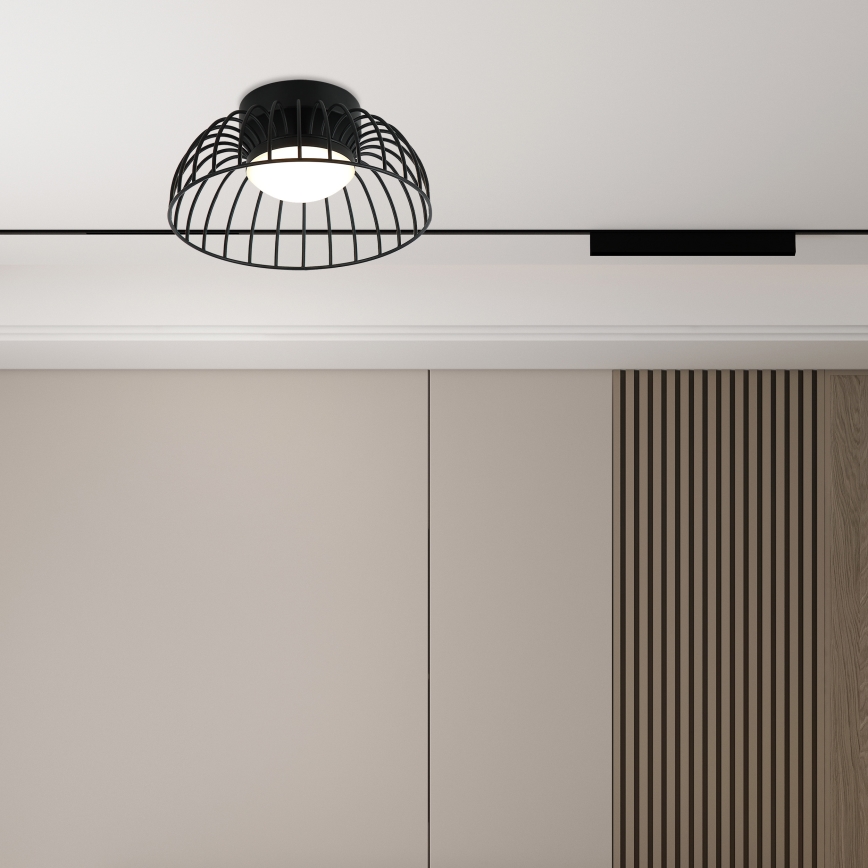 LED Stropní svítidlo BETSY LED/12W/230V pr. 25 cm černá
