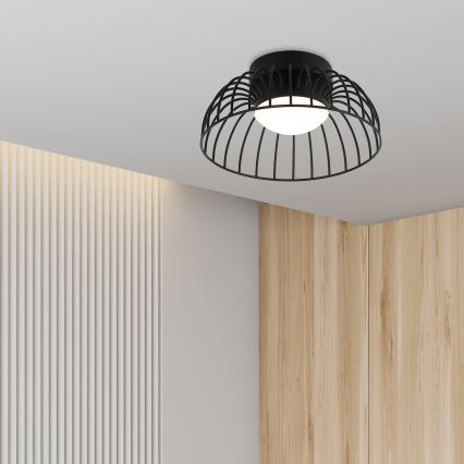 LED Stropní svítidlo BETSY LED/12W/230V pr. 25 cm černá