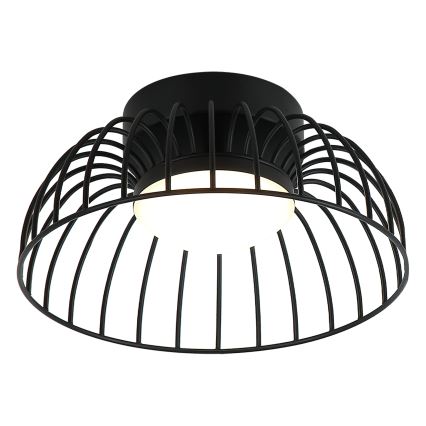 LED Stropní svítidlo BETSY LED/12W/230V pr. 25 cm černá