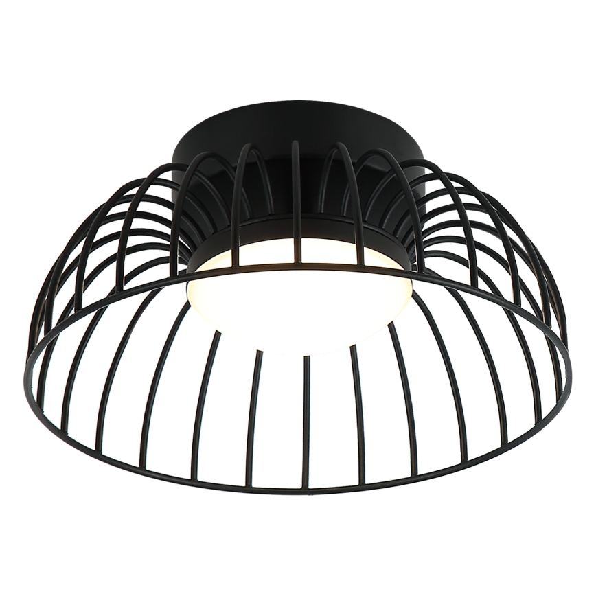 LED Stropní svítidlo BETSY LED/12W/230V pr. 25 cm černá