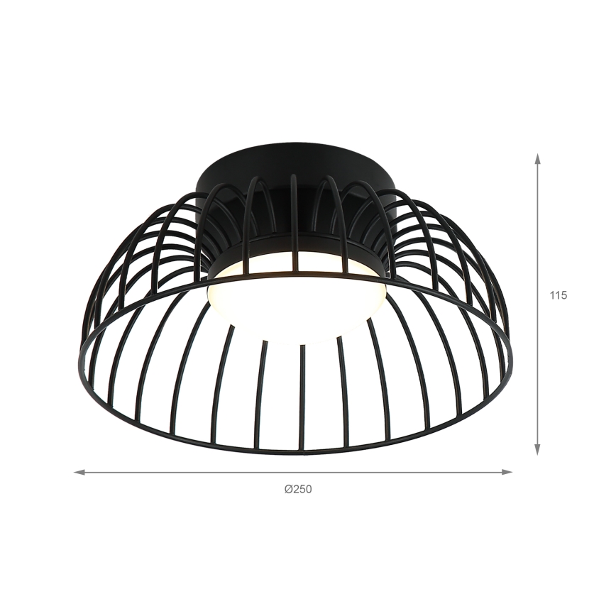 LED Stropní svítidlo BETSY LED/12W/230V pr. 25 cm černá