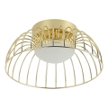LED Stropní svítidlo BETSY LED/12W/230V pr. 25 cm zlatá