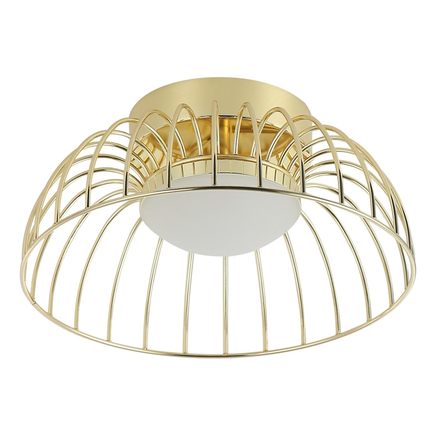 LED Stropní svítidlo BETSY LED/12W/230V pr. 25 cm zlatá