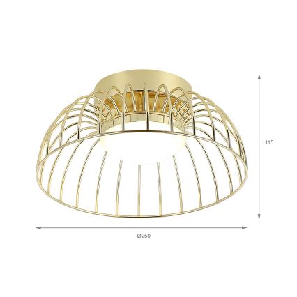 LED Stropní svítidlo BETSY LED/12W/230V pr. 25 cm zlatá