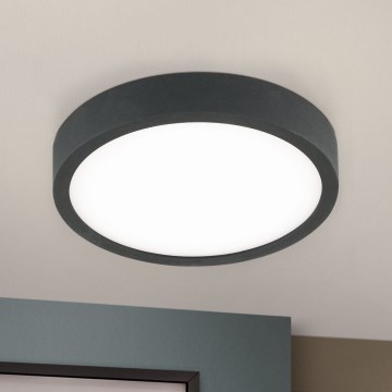 LED Stropní svítidlo BULLY LED/12W/230V pr. 14 cm černá