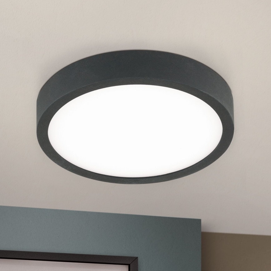 LED Stropní svítidlo BULLY LED/12W/230V pr. 14 cm černá