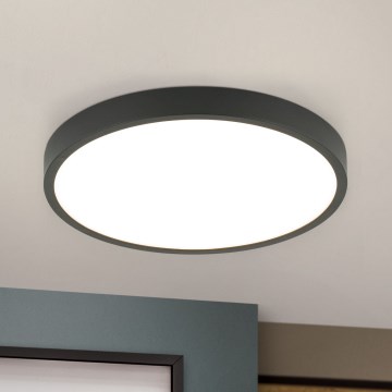LED Stropní svítidlo BULLY LED/24W/230V pr. 24 cm černá