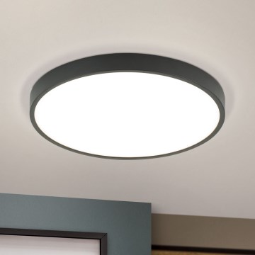LED Stropní svítidlo BULLY LED/28W/230V pr. 28 cm černá