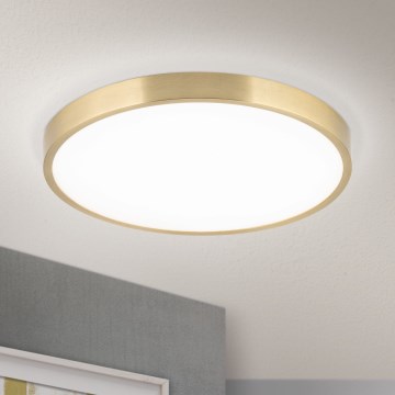 LED Stropní svítidlo BULLY LED/28W/230V pr. 28 cm zlatá