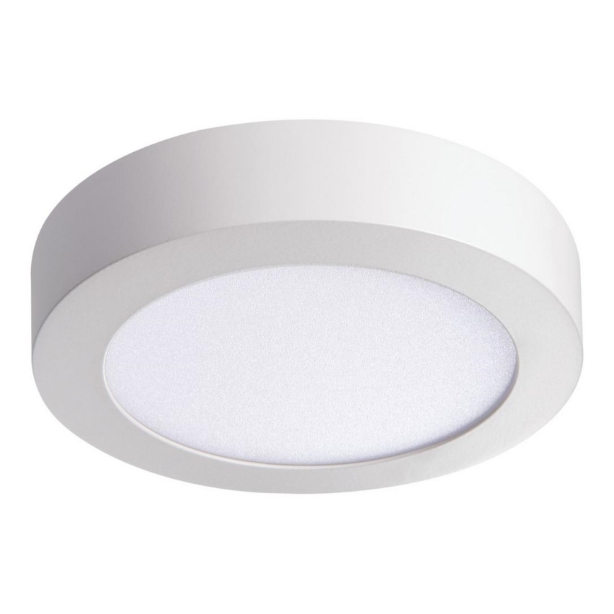 LED Stropní svítidlo CARSA LED/12W/230V 3000K bílá pr. 17 cm
