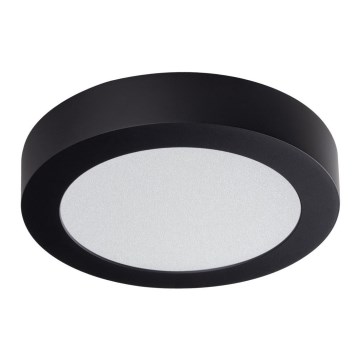 LED Stropní svítidlo CARSA LED/12W/230V 3000K černá pr. 17 cm