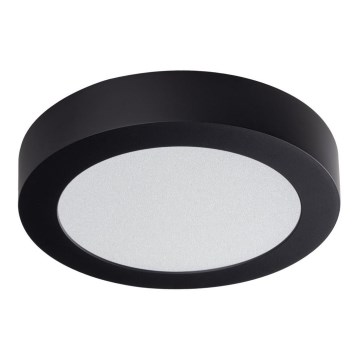 LED Stropní svítidlo CARSA LED/12W/230V 4000K černá pr. 17 cm