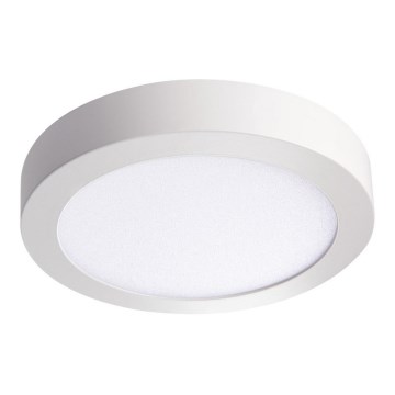 LED Stropní svítidlo CARSA LED/18W/230V 3000K bílá pr. 21,5 cm