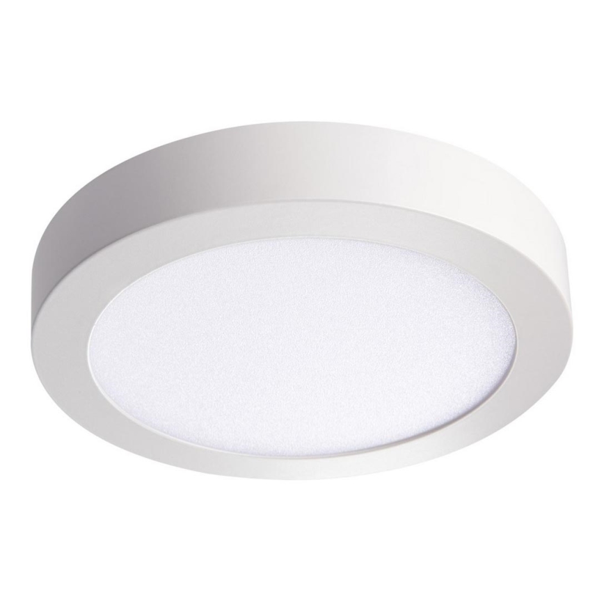 LED Stropní svítidlo CARSA LED/18W/230V 3000K bílá pr. 21,5 cm