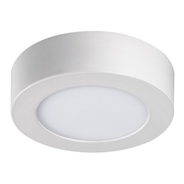 LED Stropní svítidlo CARSA LED/6W/230V 4000K bílá pr. 11,9 cm