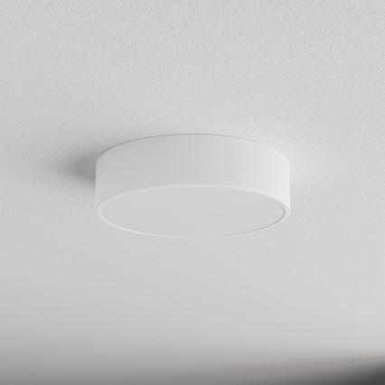 LED Stropní svítidlo CLEO LED/24W/230V 3000K pr. 30 cm bílá