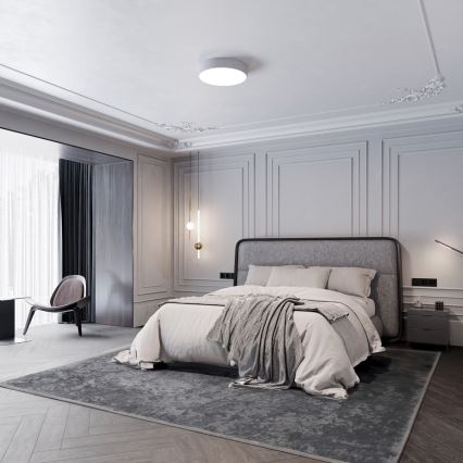 LED Stropní svítidlo CLEO LED/24W/230V 3000K pr. 30 cm šedá