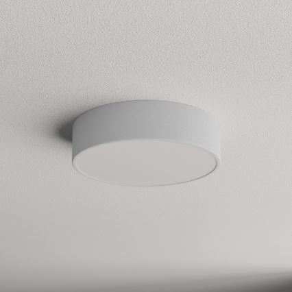 LED Stropní svítidlo CLEO LED/24W/230V 3000K pr. 30 cm šedá