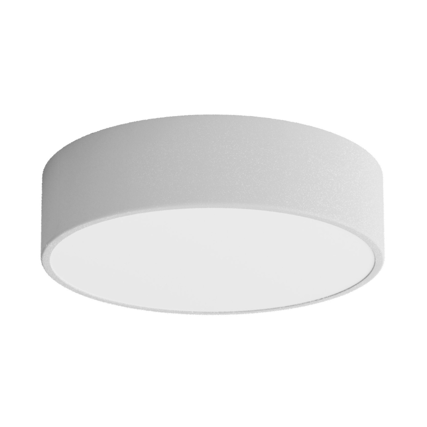 LED Stropní svítidlo CLEO LED/24W/230V 3000K pr. 30 cm šedá