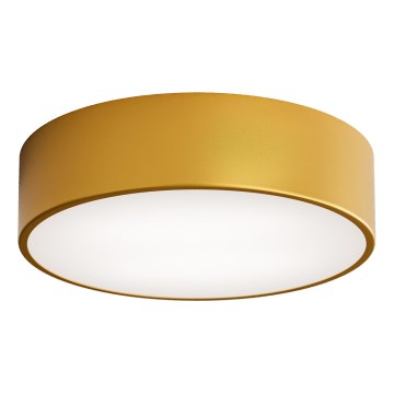 LED Stropní svítidlo CLEO LED/24W/230V 3000K pr. 30 cm zlatá