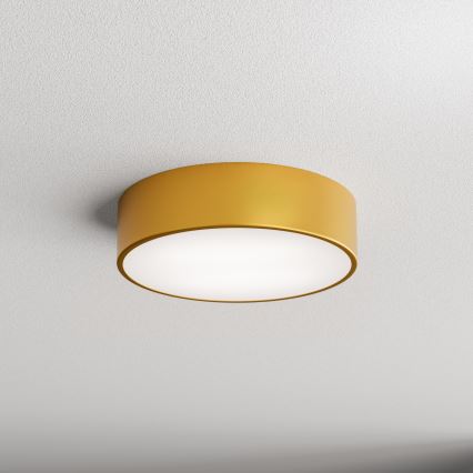 LED Stropní svítidlo CLEO LED/24W/230V 3000K pr. 30 cm zlatá