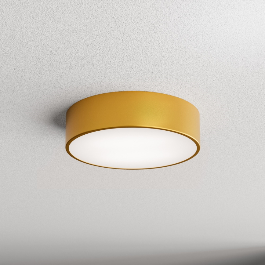 LED Stropní svítidlo CLEO LED/24W/230V 3000K pr. 30 cm zlatá