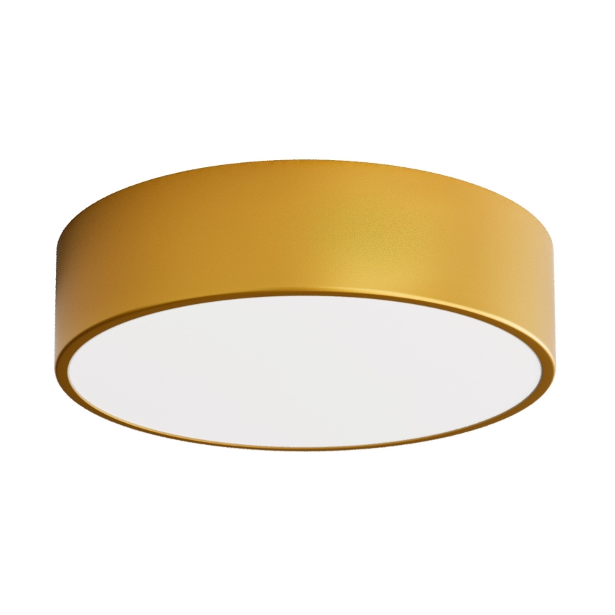 LED Stropní svítidlo CLEO LED/24W/230V 3000K pr. 30 cm zlatá