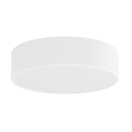 LED Stropní svítidlo CLEO LED/24W/230V 4000K pr. 30 cm bílá