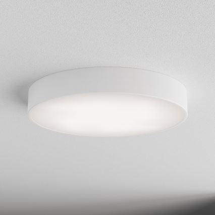 LED Stropní svítidlo CLEO LED/69W/230V 3000K pr. 50 cm bílá