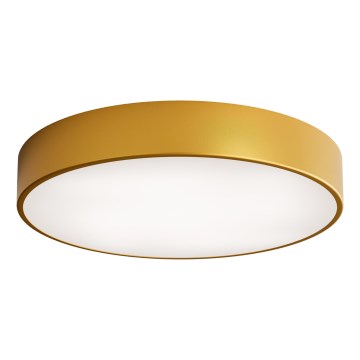 LED Stropní svítidlo CLEO LED/69W/230V 4000K pr. 50 cm zlatá