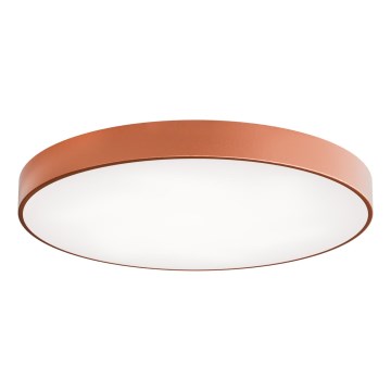 LED Stropní svítidlo CLEO LED/96W/230V 4000K pr. 80 cm měděná