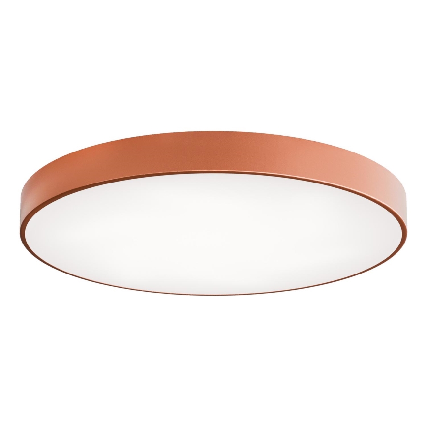 LED Stropní svítidlo CLEO LED/96W/230V 4000K pr. 80 cm měděná