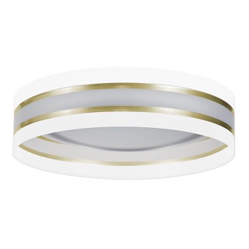 LED Stropní svítidlo CORAL GOLD LED/24W/230V bílá/zlatá