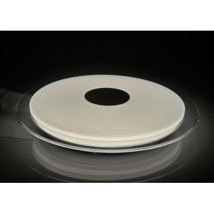LED Stropní svítidlo DENVER LED/24W/230V