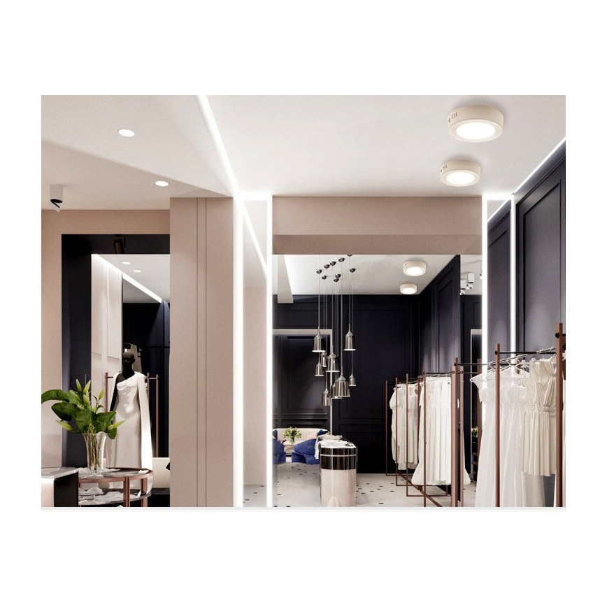 LED Stropní svítidlo DIEGO LED/12W/230V 4000K IP40 pr. 16,5 cm bílá