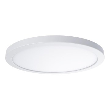 LED Stropní svítidlo EVORA LED/24W/230V 3000/4000/6000K pr. 30 cm bílá