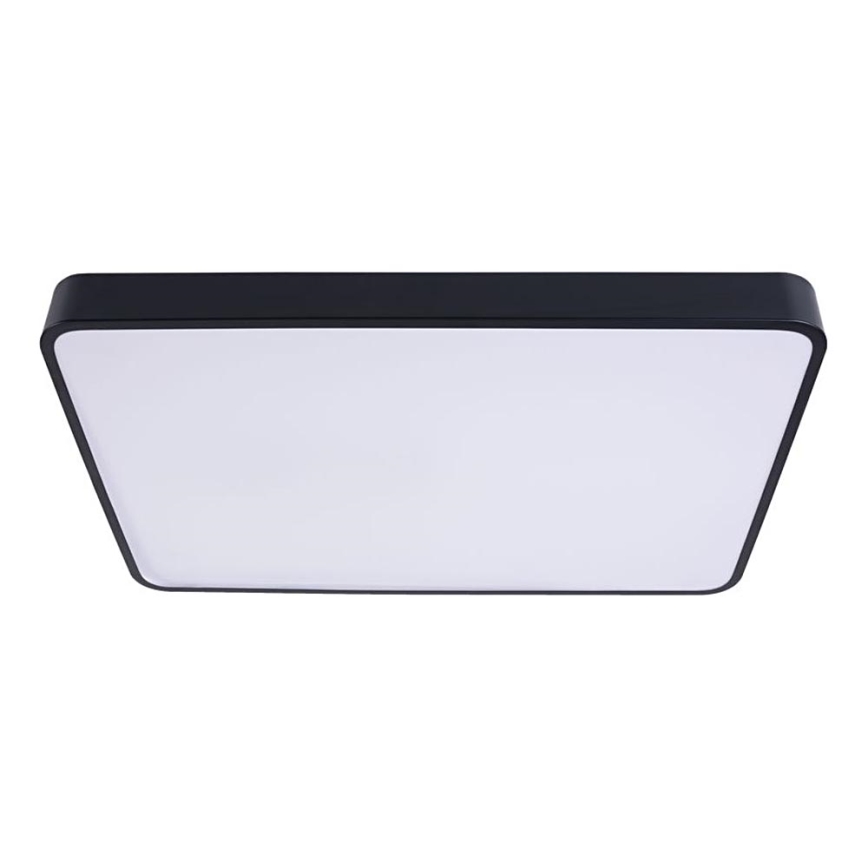 LED Stropní svítidlo FELIZ LED/40W/230V 4000K 40x40 cm černá