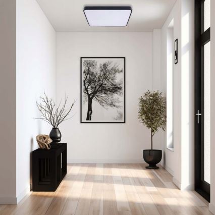 LED Stropní svítidlo FELIZ LED/40W/230V 4000K 40x40 cm černá